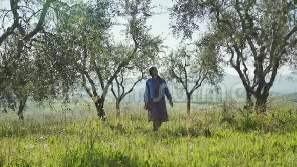 在阳光明媚的春天穿着牛仔夹克的浪漫女孩漫步在橄榄树之间视频的预览图