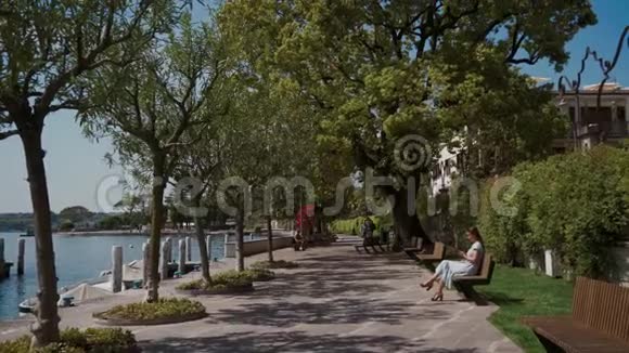 年轻女子坐在绿树下的公园长椅上使用智能手机阳光明媚视频的预览图