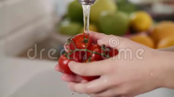 洗新鲜有机西红柿的女人视频的预览图
