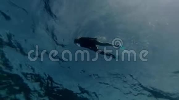 马尔代夫一个阳光明媚的日子年轻女子在水中游泳视频的预览图