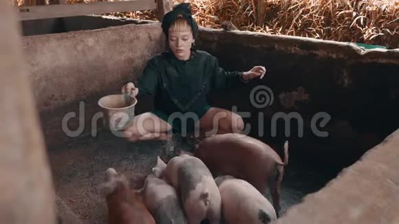 养猪场的女孩视频的预览图