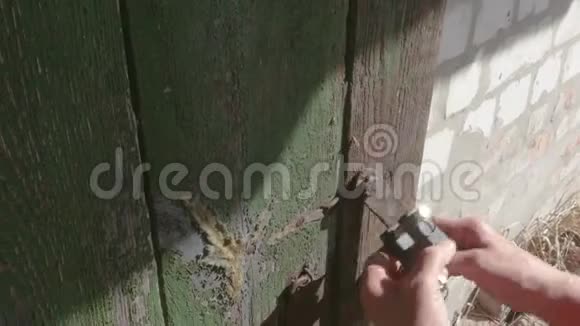 锁上的旧木门视频的预览图