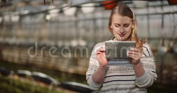 温室里使用数码平板电脑的女园丁视频的预览图