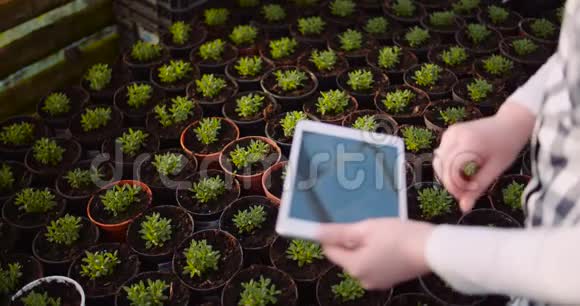 温室里使用数字平板电脑的园丁视频的预览图