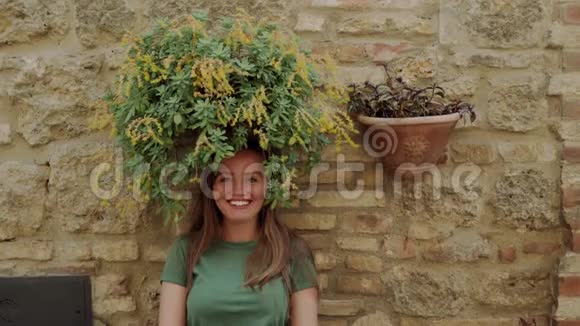幸福的女孩尝试着开出绿色的花朵春天的发型就站在老砖墙附近视频的预览图