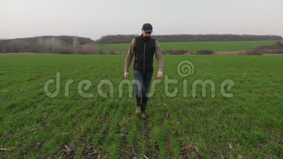 一个农民走过绿色的冬小麦田视频的预览图