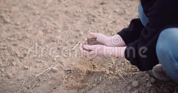 农业土壤农民在手中检查土壤视频的预览图