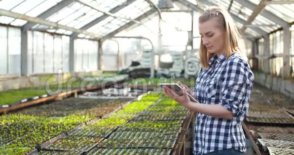 在温室农业农业综合企业中使用计算器的女园丁视频的预览图