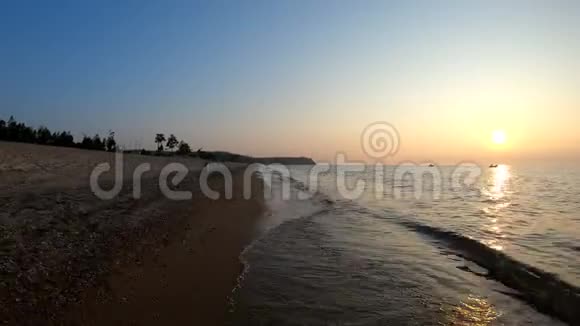 狗沿着海滩跑视频的预览图