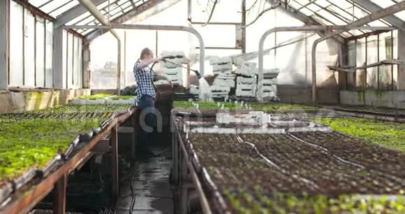 女性农民在温室农业中浇灌植物视频的预览图