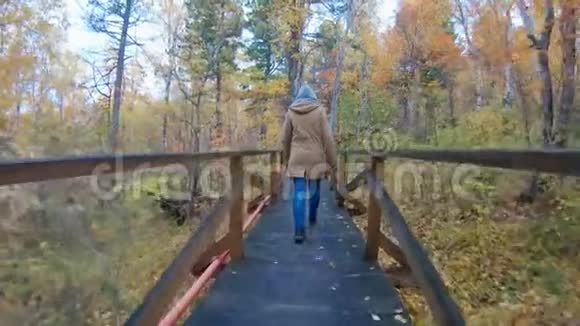 一个头戴帽子的女孩走在秋天森林的生态小径上视频的预览图