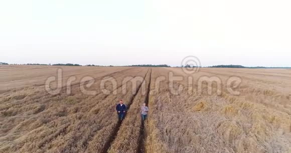 农业两名农民在麦田奔跑视频的预览图