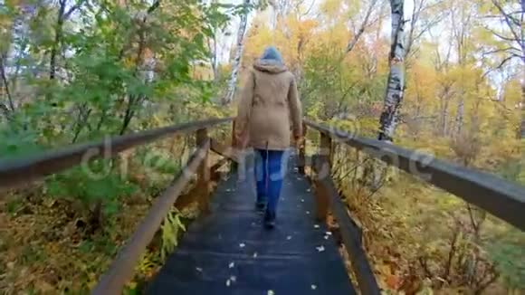 一个头戴帽子的女人沿着秋天森林里的一条生态小径攀登视频的预览图