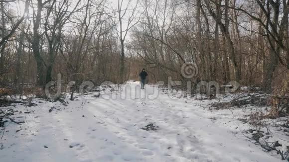 徒步旅行者背着背包走在覆盖着深深雪的松林里冬季活动和娱乐理念视频的预览图