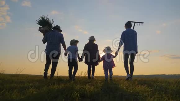 农民家庭的有机农业在田野在日落农业收获农业的团队合作幸福的概念视频的预览图