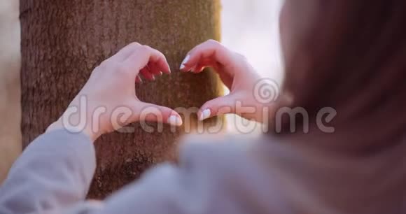 女人用手在森林里做心形视频的预览图