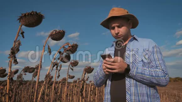 英俊的农民与智能手机站在田间向日葵与联合收割机的背景现代概念视频的预览图