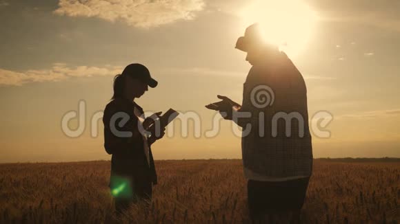 剪影农户田间劳作沟通看碑两个农民在田里谈话用平板电脑视频的预览图
