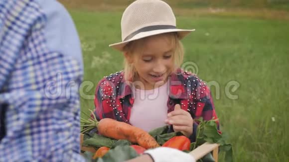 小女孩在花园里收获新鲜蔬菜有趣的园丁把新鲜的成熟蔬菜放进木箱里视频的预览图