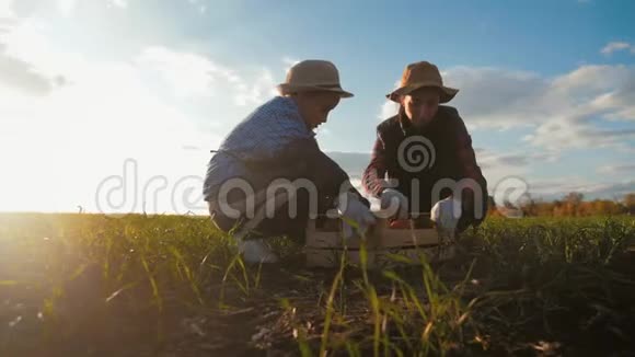 一家农民带着盒子在农场收获蔬菜农业园艺团队合作理念视频的预览图
