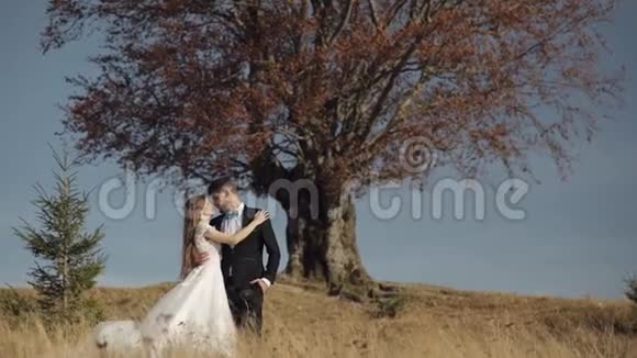 新婚夫妇白人新郎和新娘靠近美丽的秋树新婚夫妇视频的预览图