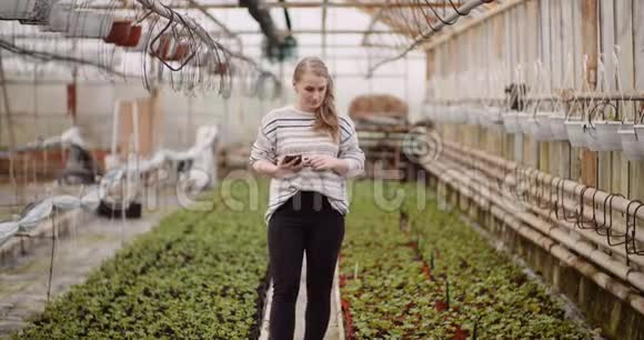 农业温室中使用手机的女园丁视频的预览图