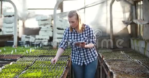 农业农业企业农业企业中使用计算器的女性园丁视频的预览图