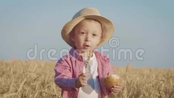 快乐的戴帽子的小蹒跚学步的孩子在日落时站在麦田里吃面包夏季乡村生活和农业视频的预览图