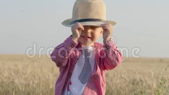 在阳光明媚的夏日戴帽子的可爱男孩在金色的麦田里散步暑期乡村生活度假环境保护视频的预览图