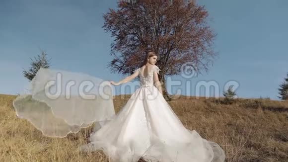 美丽可爱的新娘穿着婚纱靠近美丽的秋树视频的预览图