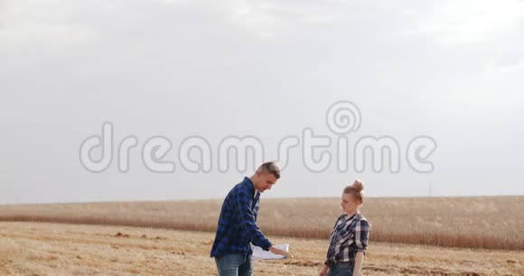 农业收割时在麦田说话的男女农民视频的预览图