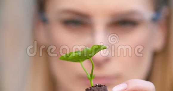 密切观察年轻植物和检查植物的科学家或研究员视频的预览图