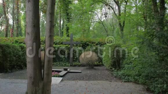 森林中的十字架纪念视频的预览图