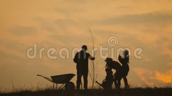 年轻的家庭在他们的农场户外玩得很开心四人剪影家族在日落时种了一棵新树团队合作快乐视频的预览图
