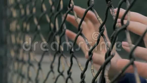 近景的年轻女子手摇动金属网在围栏地区无助的女人摇着金属栅栏视频的预览图