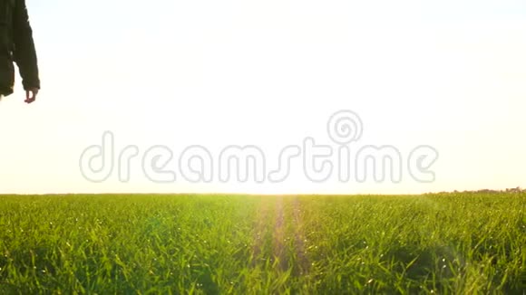 母亲和婴儿在日落时走在绿色的草地上视频的预览图