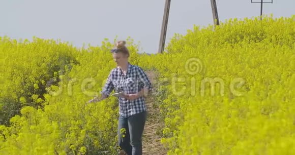 农民检查油籽油菜田视频的预览图