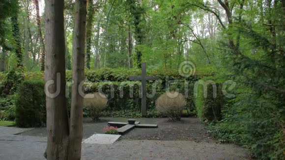 穿过森林中的纪念碑视频的预览图