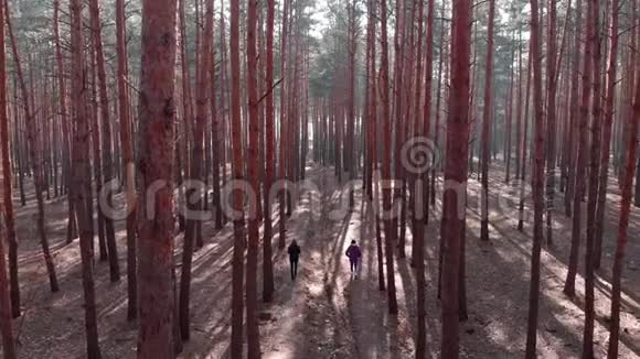 在松林散步的男女夫妇年轻的幸福夫妇正在松树环绕的森林里徒步旅行女人和男人走视频的预览图