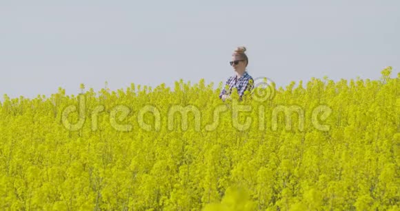 农民检查油籽油菜田视频的预览图
