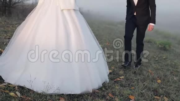 新婚夫妇白种人新郎和新娘在晨场雾新婚夫妇视频的预览图