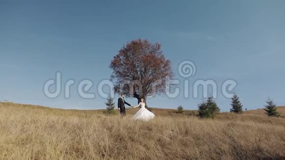 新婚夫妇白人新郎和新娘在山坡上散步新婚夫妇视频的预览图