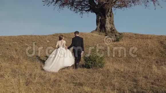 新婚夫妇白人新郎和新娘靠近美丽的秋树新婚夫妇视频的预览图
