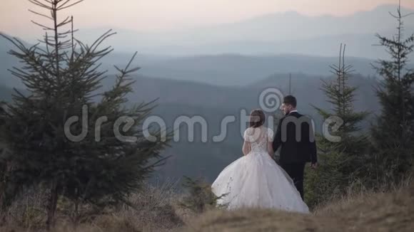 新婚夫妇新郎新娘走在山坡上新婚夫妇视频的预览图