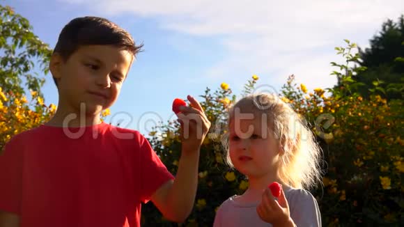 快乐的男孩和小女孩用红色多汁的覆盆子互相喂食视频的预览图