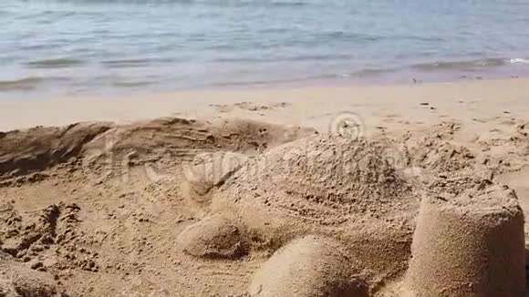 在海滩上路过沙龟视频的预览图