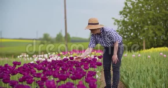 在郁金香领域工作的女农民视频的预览图