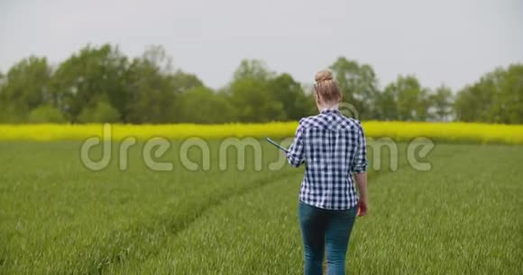 农业女农民检查小麦田视频的预览图