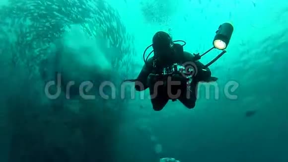 印尼巴厘岛图伦本杰克鱼群中游泳的人视频的预览图