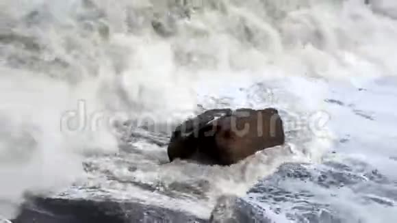 索契黑海风暴视频的预览图